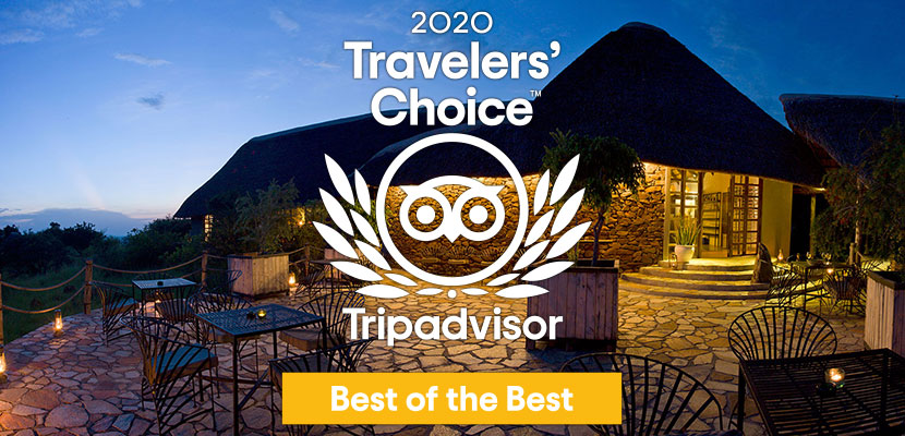 Grumeti Hills erhält das Trip Advisor Traveller's Choice-Label