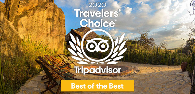 Olduvai Camp erhält das Trip Advisor Traveller's Choice-Label