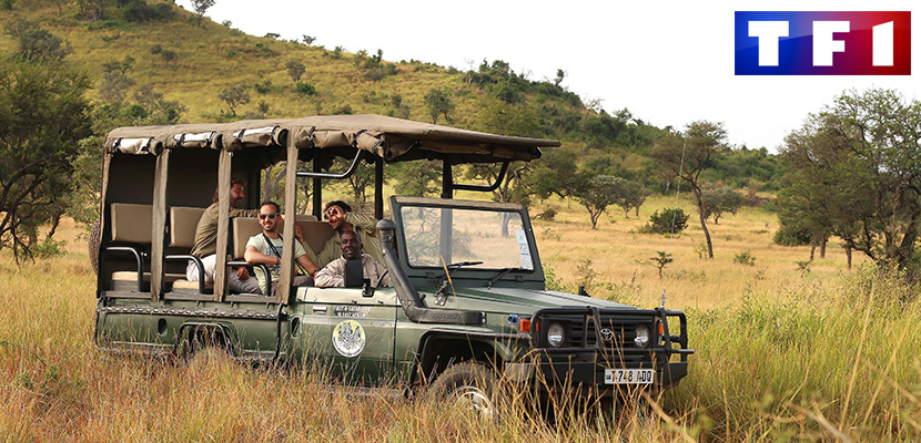 Safaris en coche eléctrico en Tanzania